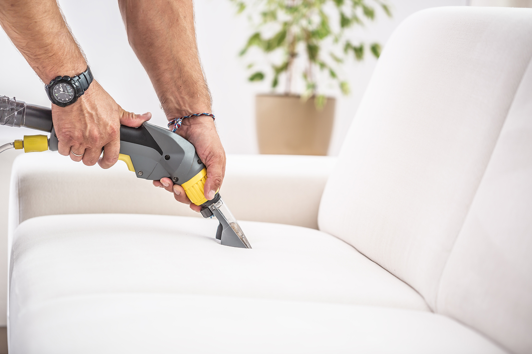 Chemical sofa depth cleaning by a professional.